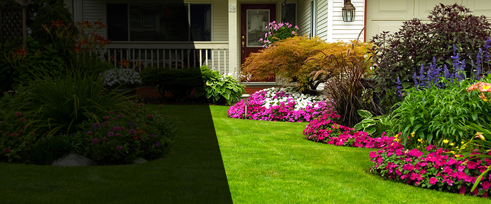 Allston Landscapers